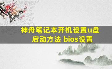 神舟笔记本开机设置u盘启动方法 bios设置